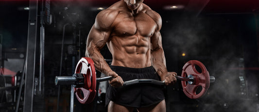 Fadogia Agrestis: The new supplement for bodybuilders