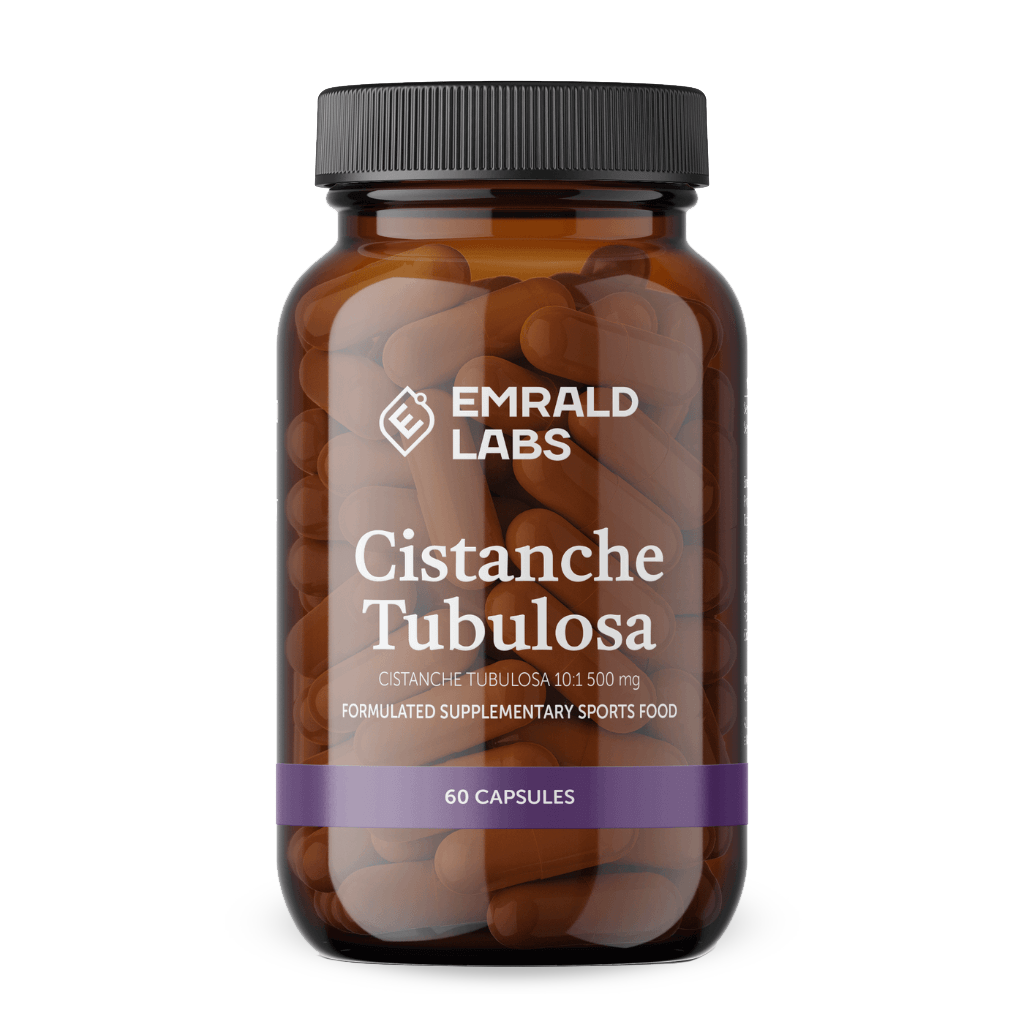 Cistance Tubulosa