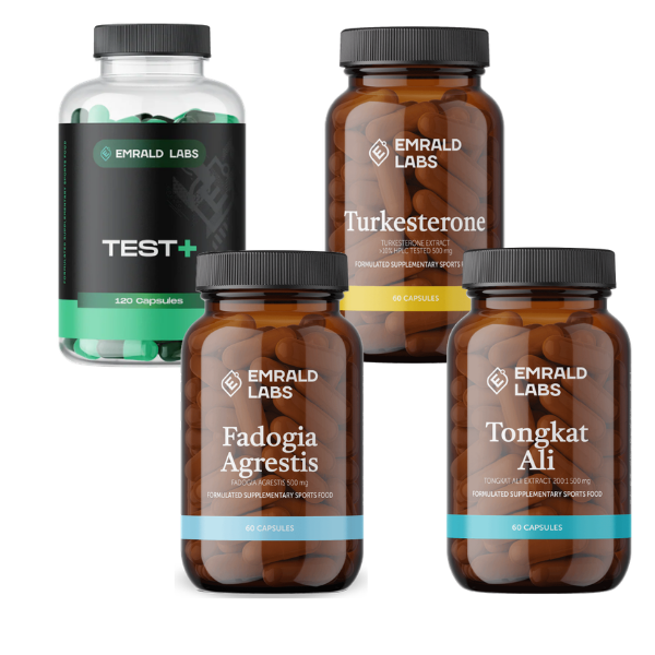 The Momentum Stack